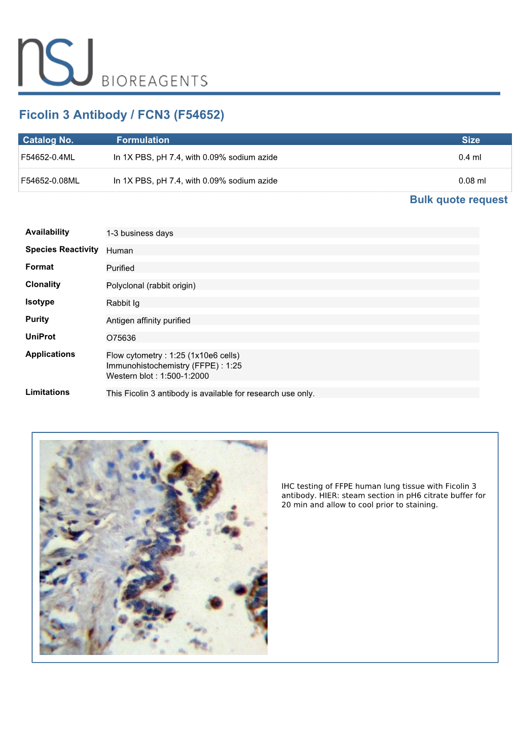 FCN3 Antibody