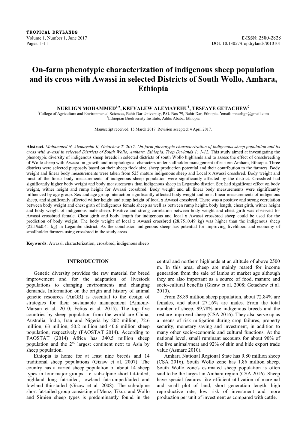 On-Farm Phenotypic Characterization of Indigenous Sheep Population and Its Cross with Awassi in Selected Districts of South Wollo, Amhara, Ethiopia