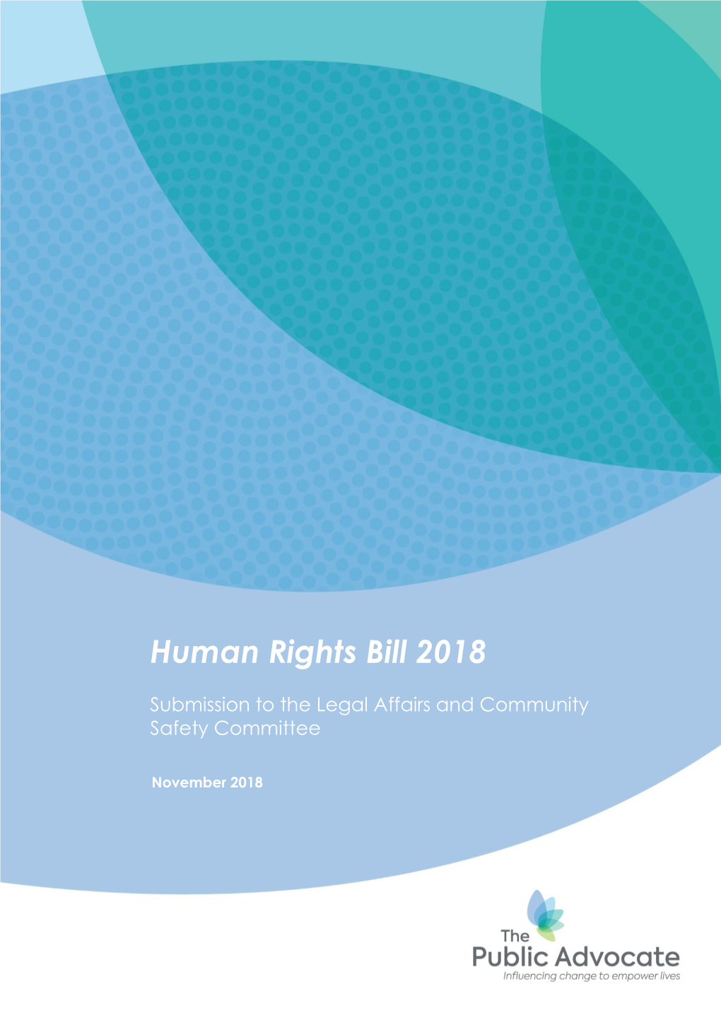 Submission on the Human Rights Bill 2018