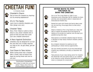 It's in the Spots a Race Against Extinction Cheetah's Charm Cheetah Tales Cool Down & Take Action SEVEN WAYS to JOIN