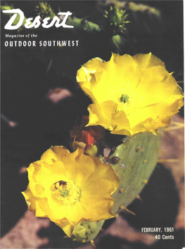 Outdoor Southwest