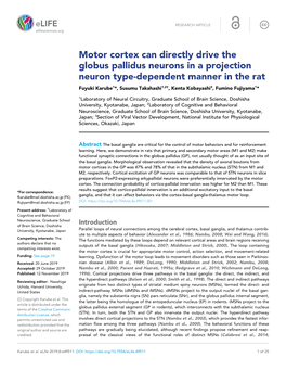 Motor Cortex Can Directly Drive the Globus Pallidus Neurons in A