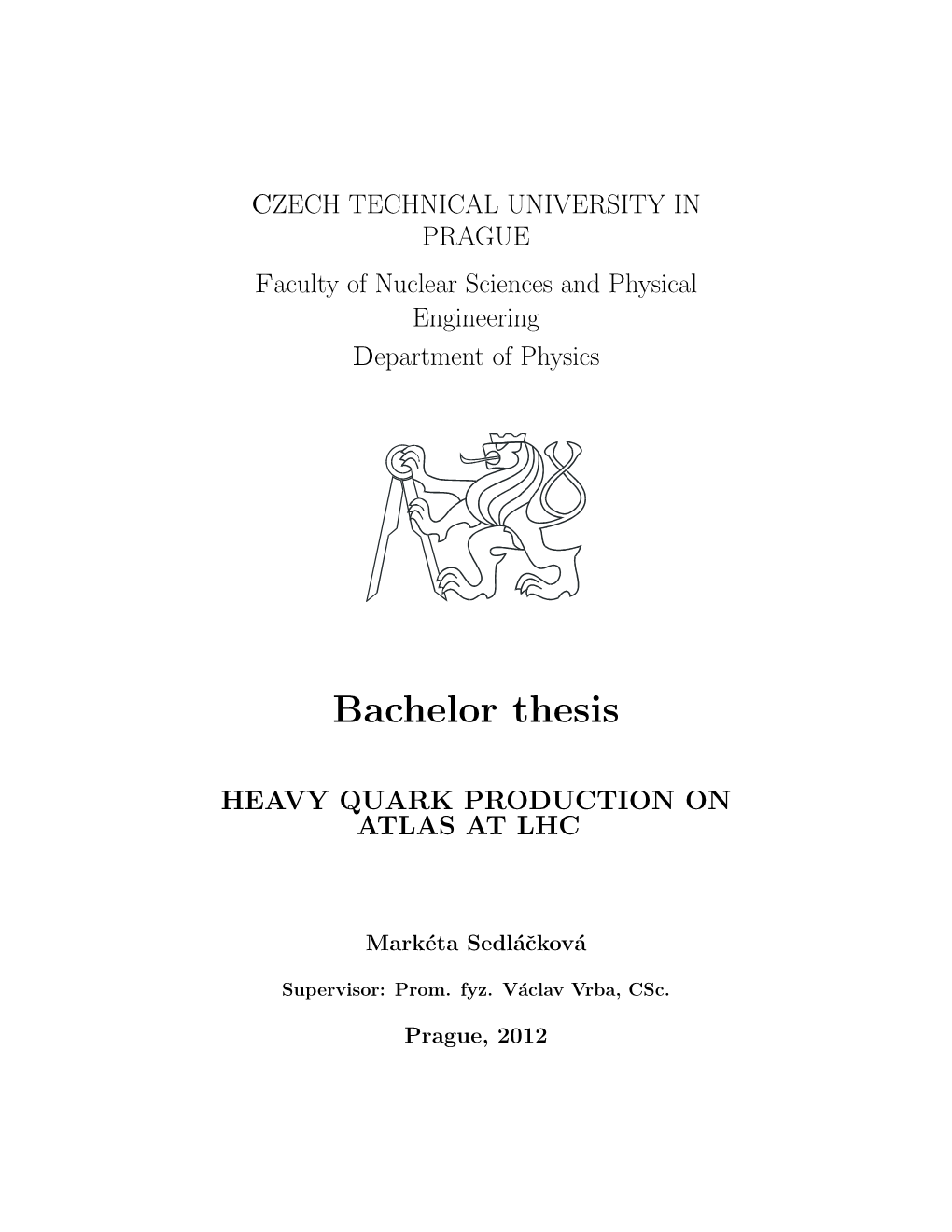 Bachelor Thesis