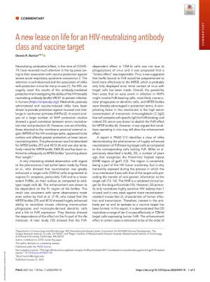 A New Lease on Life for an HIV-Neutralizing Antibody Class and Vaccine Target COMMENTARY Dennis R