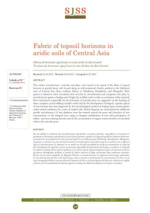 Fabric of Topsoil Horizons in Aridic Soils of Central Asia