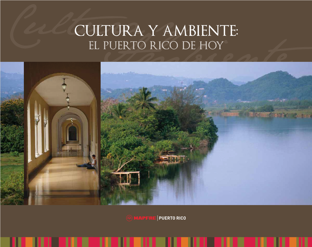 CULTURA Y AMBIENTE: El Puerto Rico De Hoy © 2007 MAPFRE Prohibida La Reproducción, En Cualquier Forma Y Por Cualquier Medio De Esta Edición