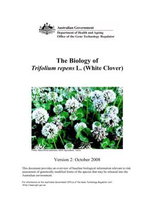 The Biology of Trifolium Repens L. (White Clover)