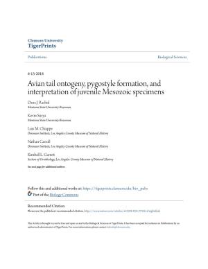 Avian Tail Ontogeny, Pygostyle Formation, and Interpretation of Juvenile Mesozoic Specimens Dana J