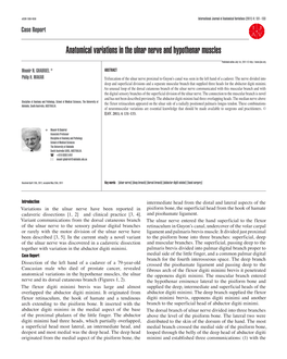 Anatomical Variations in the Ulnar Nerve and Hypothenar Muscles