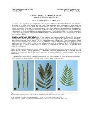 Leaf Necrosis of Zamia Caused by Mycoleptodiscus Indicus N