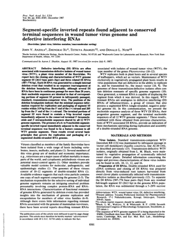 Segment-Specific Inverted Repeats Found Adjacent to Conserved