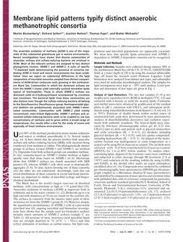 Membrane Lipid Patterns Typify Distinct Anaerobic Methanotrophic Consortia