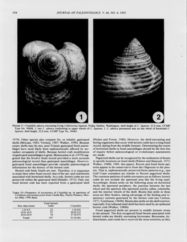 554 Journal of Paleontology, V. 66, No. 4, 1992 Figure 9