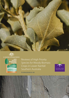 Reviews of High Priority Species for Woody Biomass Crops in Lower Rainfall Australia Southern Australia FLORASEARCH 3B