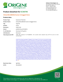 COLQ (NM 080539) Human Untagged Clone Product Data