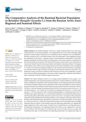 The Comparative Analysis of the Ruminal Bacterial Population in Reindeer (Rangifer Tarandus L.) from the Russian Arctic Zone: Regional and Seasonal Effects