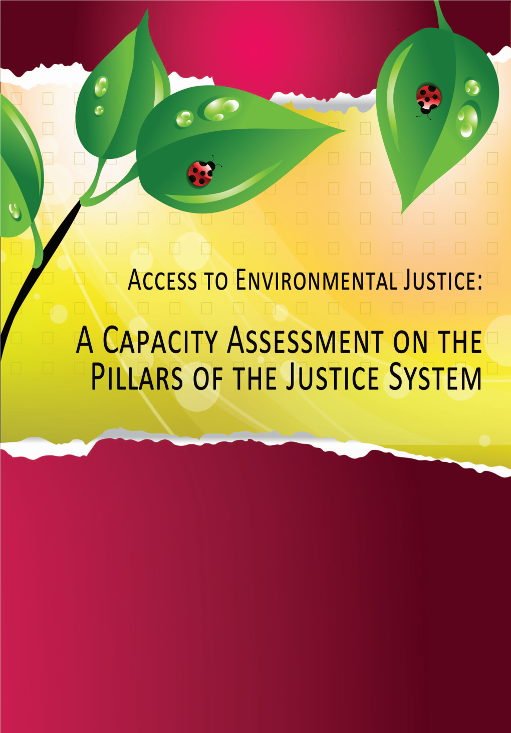 a-capacity-assessment-on-the-pillars-of-the-justice-system-i-docslib