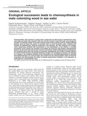 Ecological Succession Leads to Chemosynthesis in Mats Colonizing Wood in Sea Water