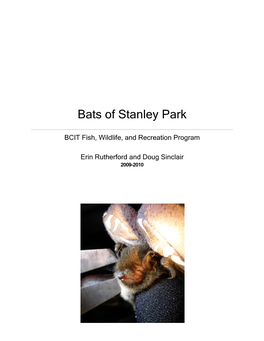 Bats of Stanley Park