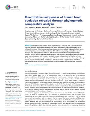 Quantitative Uniqueness of Human Brain Evolution Revealed Through Phylogenetic Comparative Analysis Ian F Miller1,2*, Robert a Barton3, Charles L Nunn2,4