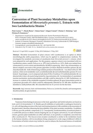 Conversion of Plant Secondary Metabolites Upon Fermentation of Mercurialis Perennis L