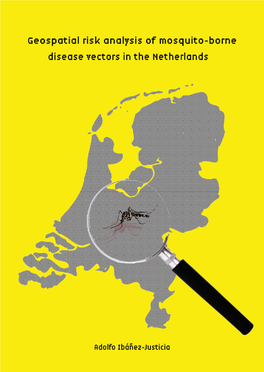 Geospatial Risk Analysis of Mosquito-Borne Disease Vectors in the Netherlands