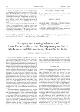 Foraging and Nesting Behaviour of Asian Paradise-Flycatcher Terpsiphone Paradisi in Mudumalai Wildlife Sanctuary, Tamil Nadu, India