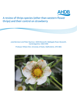 A Review of Thrips Species (Other Than Western Flower Thrips) and Their Control on Strawberry
