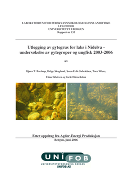 Utlegging Av Gytegrus for Laks I Nidelva - Undersøkelse Av Gytegroper Og Ungfisk 2003-2006