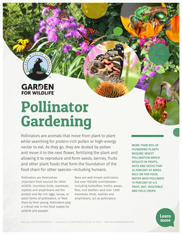 Pollinator Gardening