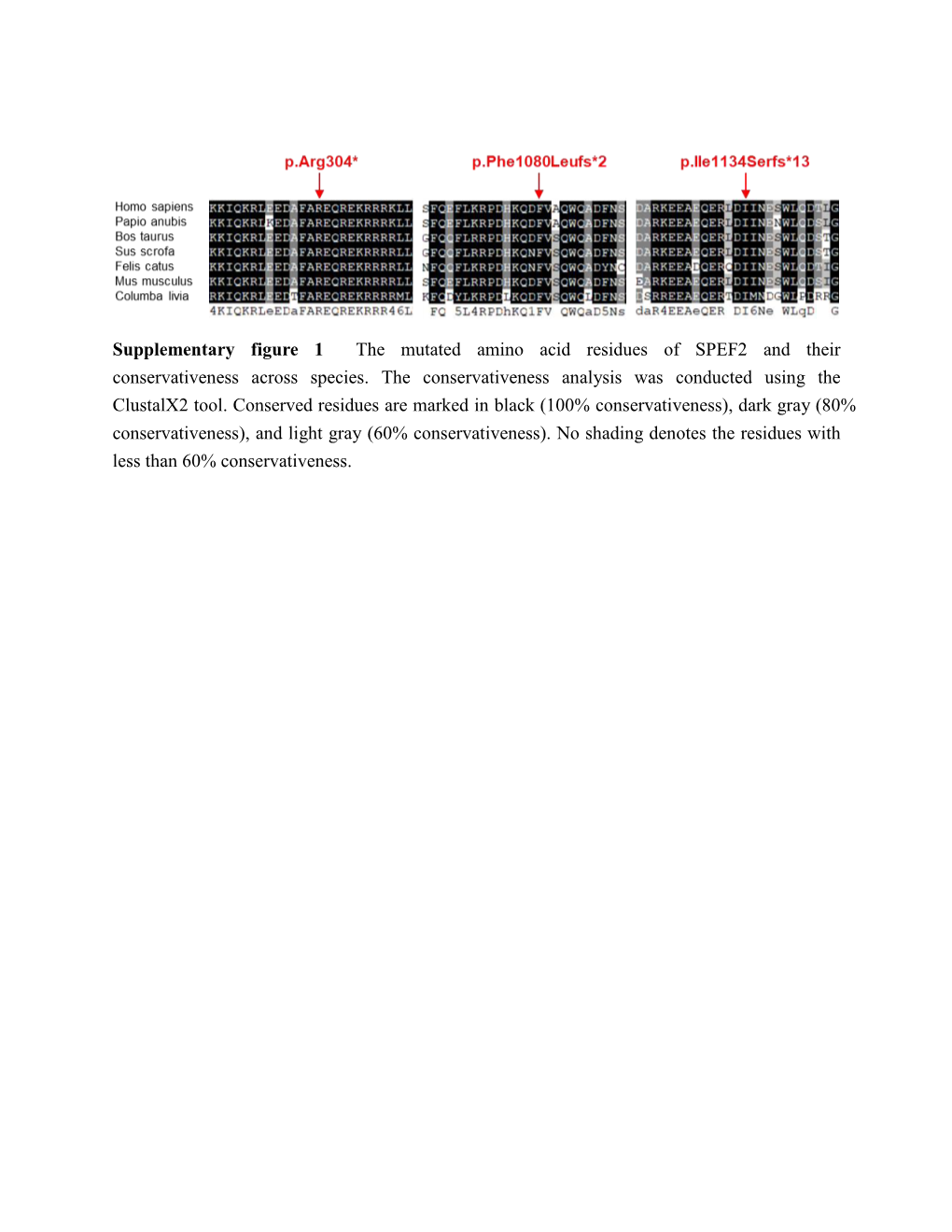 Supplementary Figure 1 the Mutated Amino Acid Residues of SPEF2 and Their Conservativeness Across Species