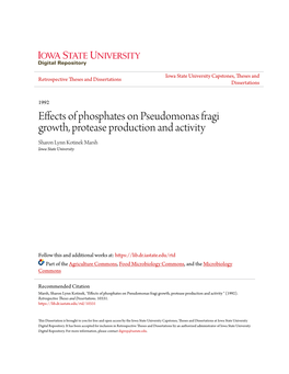 Effects of Phosphates on Pseudomonas Fragi Growth, Protease Production and Activity Sharon Lynn Kotinek Marsh Iowa State University