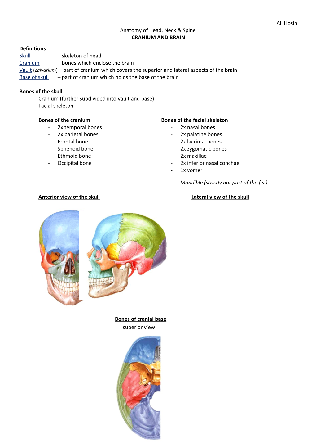 Anatomy of Head, Neck & Spine