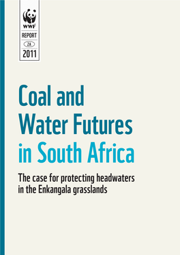 The Case for Protecting Headwaters in the Enkangala Grasslands Authors WWF- SA: Christine Colvin, Angus Burns