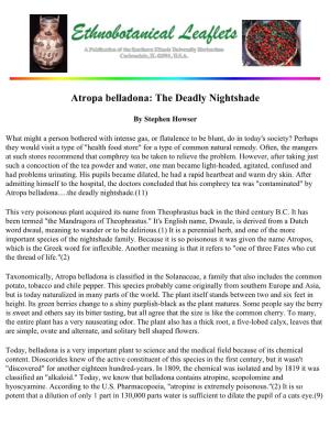 Atropa Belladona: the Deadly Nightshade