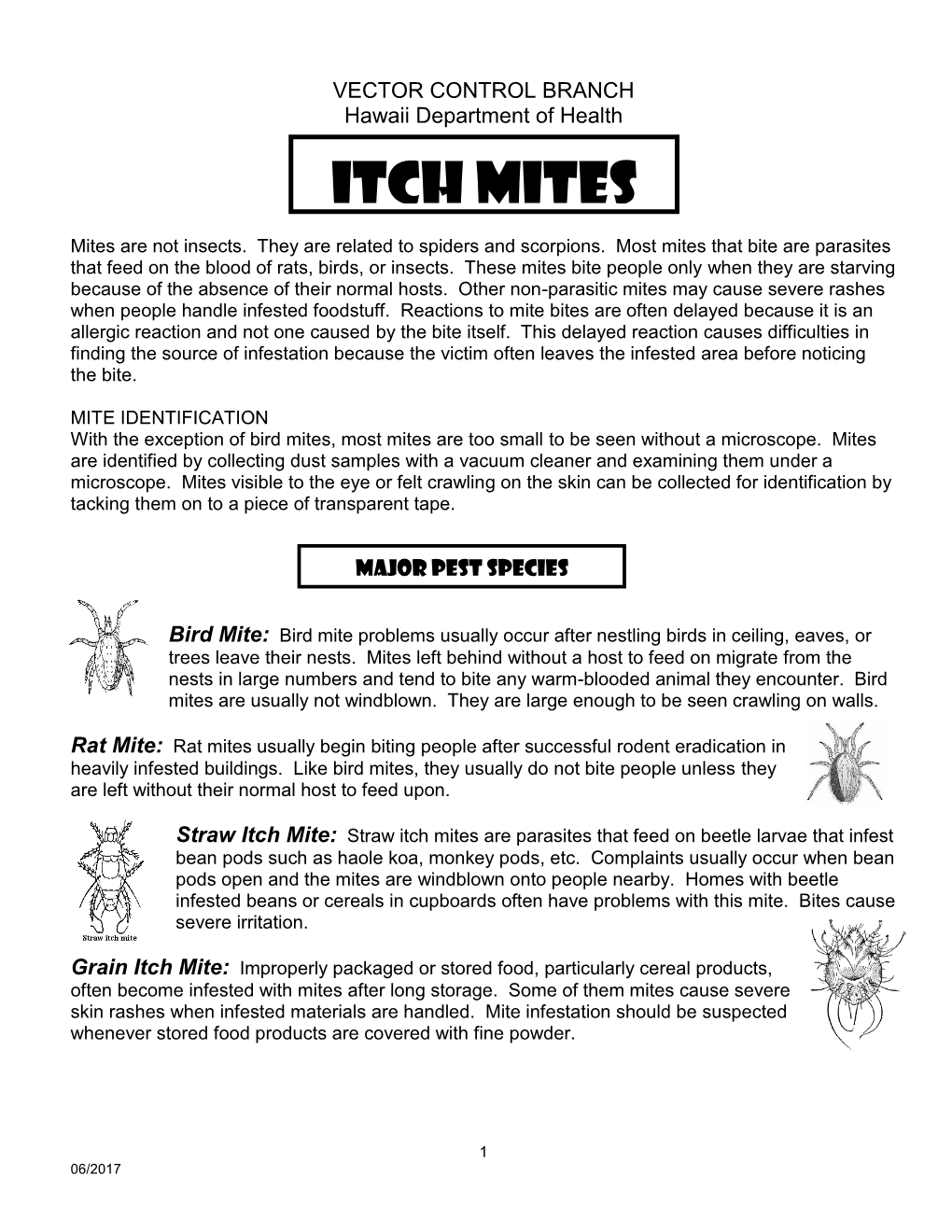 Itch Mites Are Parasites That Feed on Beetle Larvae That Infest Bean Pods Such As Haole Koa, Monkey Pods, Etc