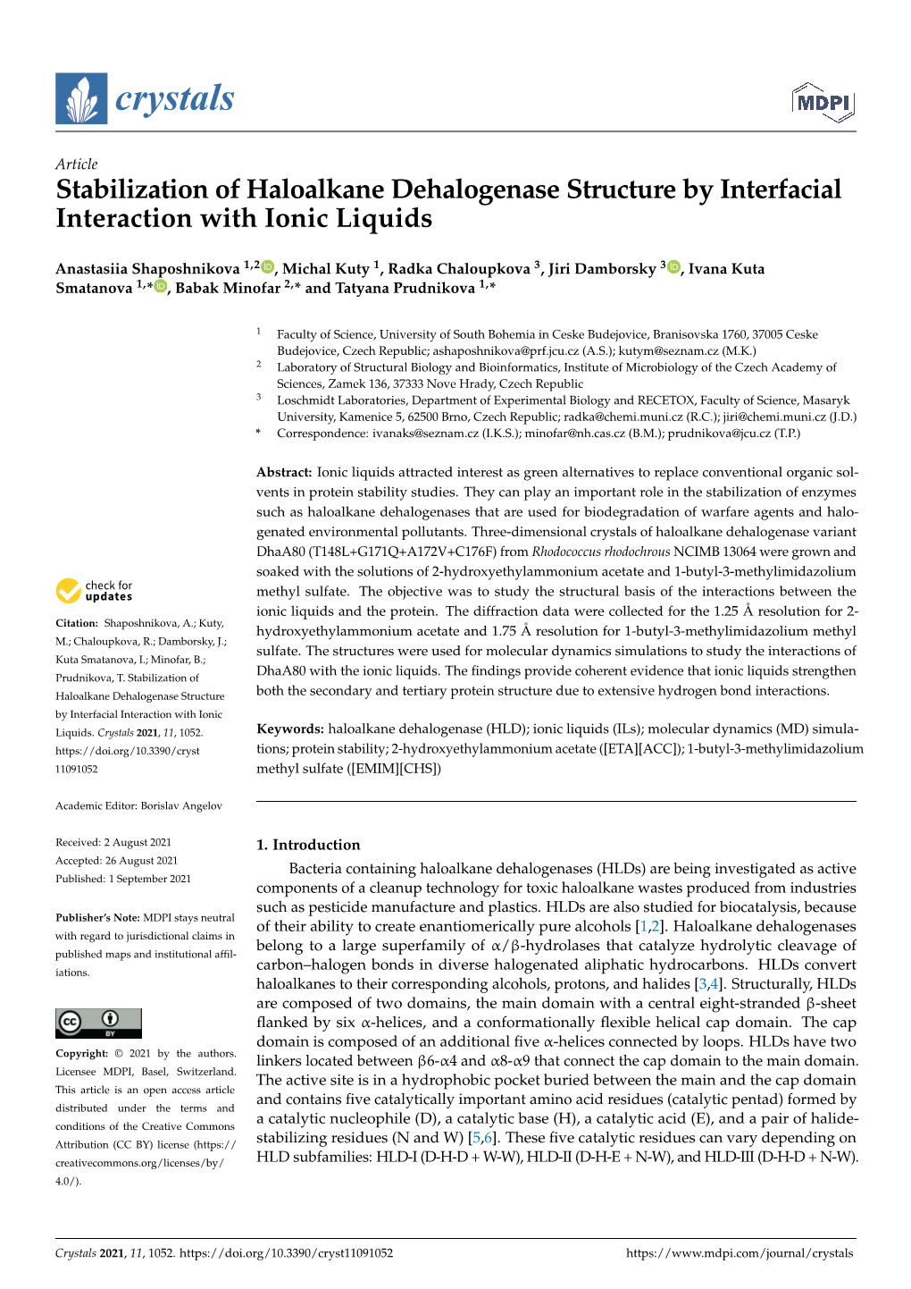 Stabilization of Haloalkane Dehalogenase Structure by Interfacial Interaction with Ionic Liquids