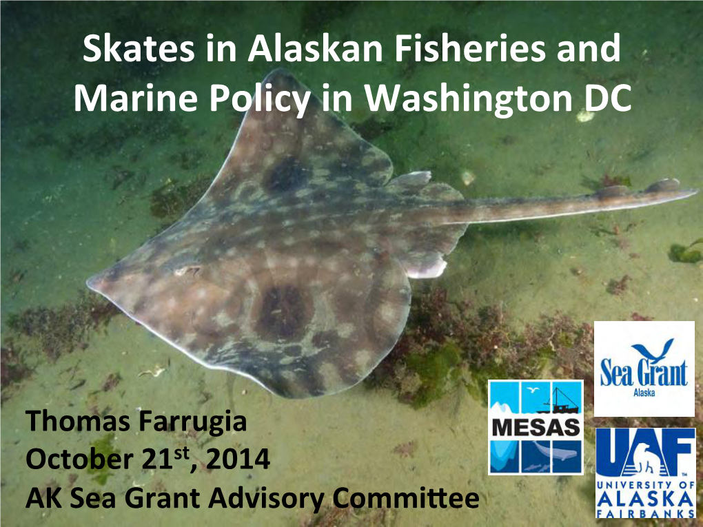 Skates in Alaskan Fisheries and Marine Policy in Washington DC