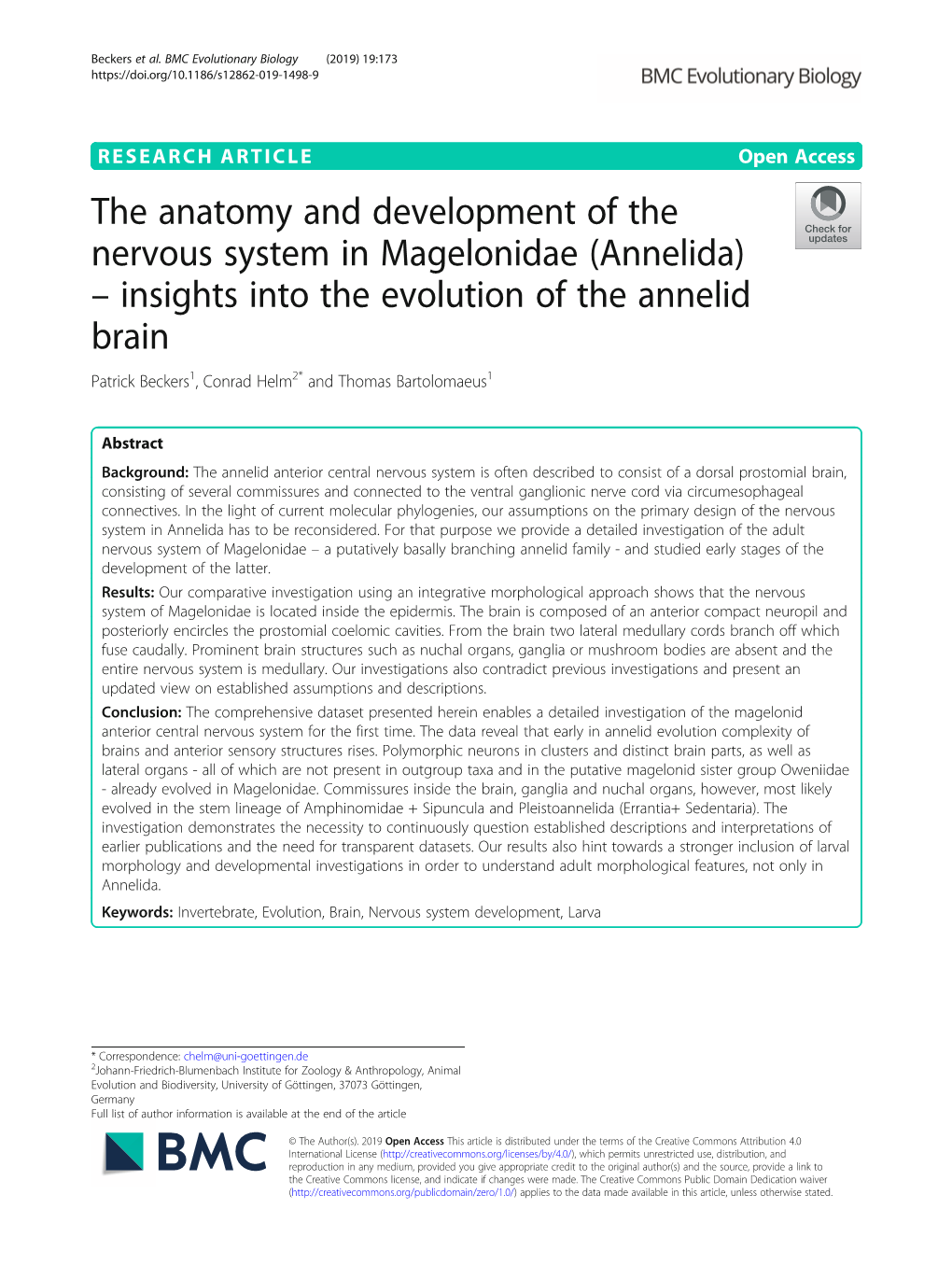 The Anatomy and Development of the Nervous System in Magelonidae