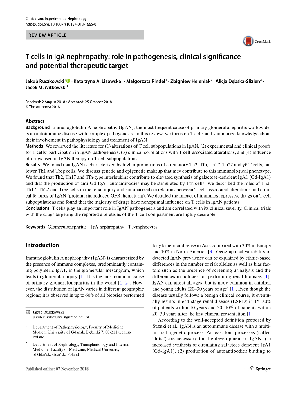 T Cells in Iga Nephropathy: Role in Pathogenesis, Clinical Significance and Potential Therapeutic Target