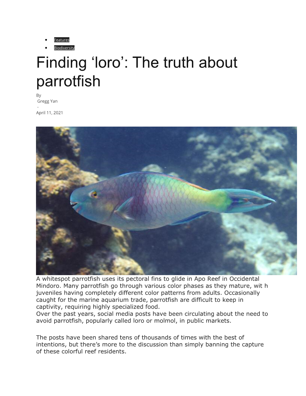 210411 BMIRROR Yan Finding Loro the Truth About Parrotfish.Pdf