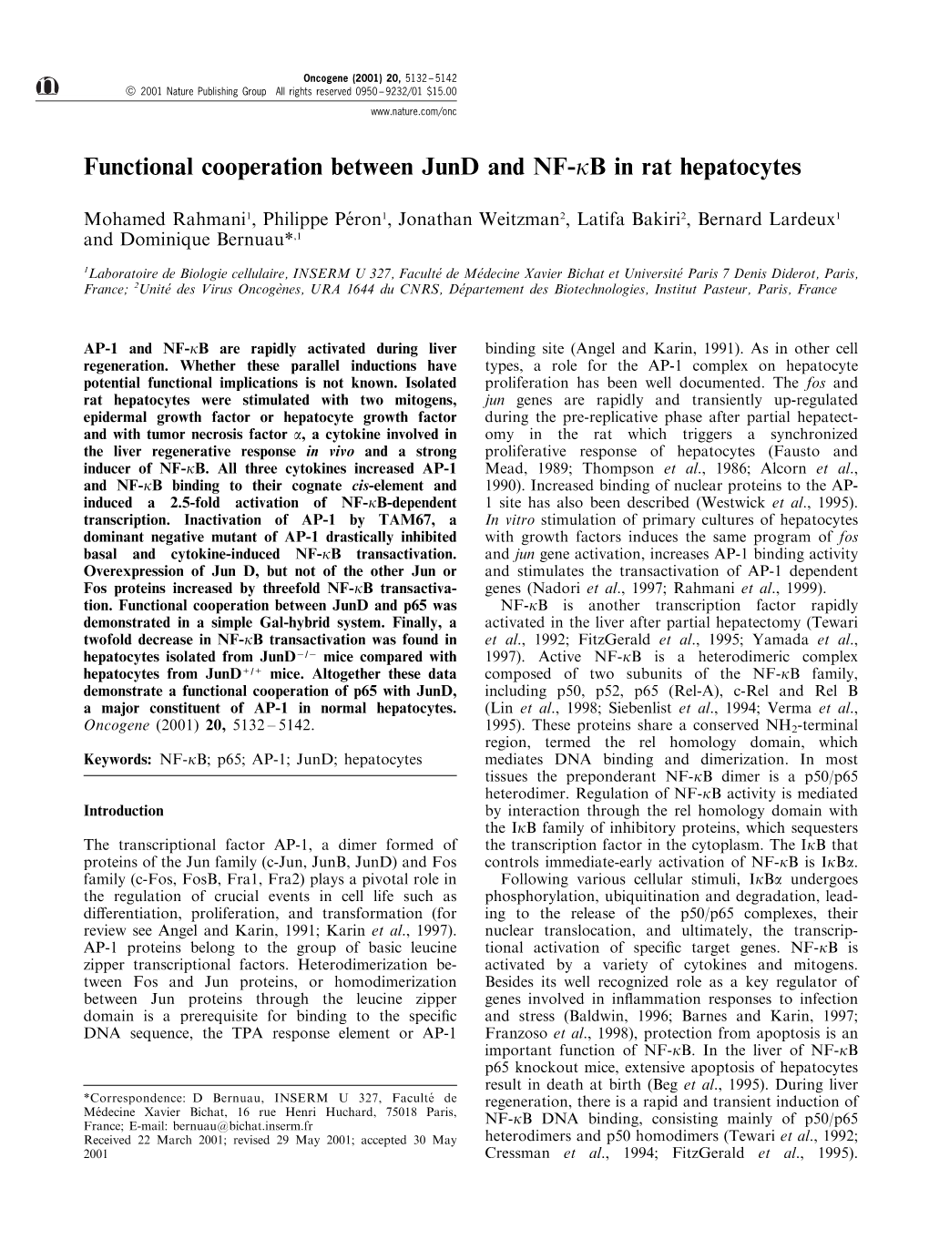 Functional Cooperation Between Jund and NF-Κb in Rat Hepatocytes