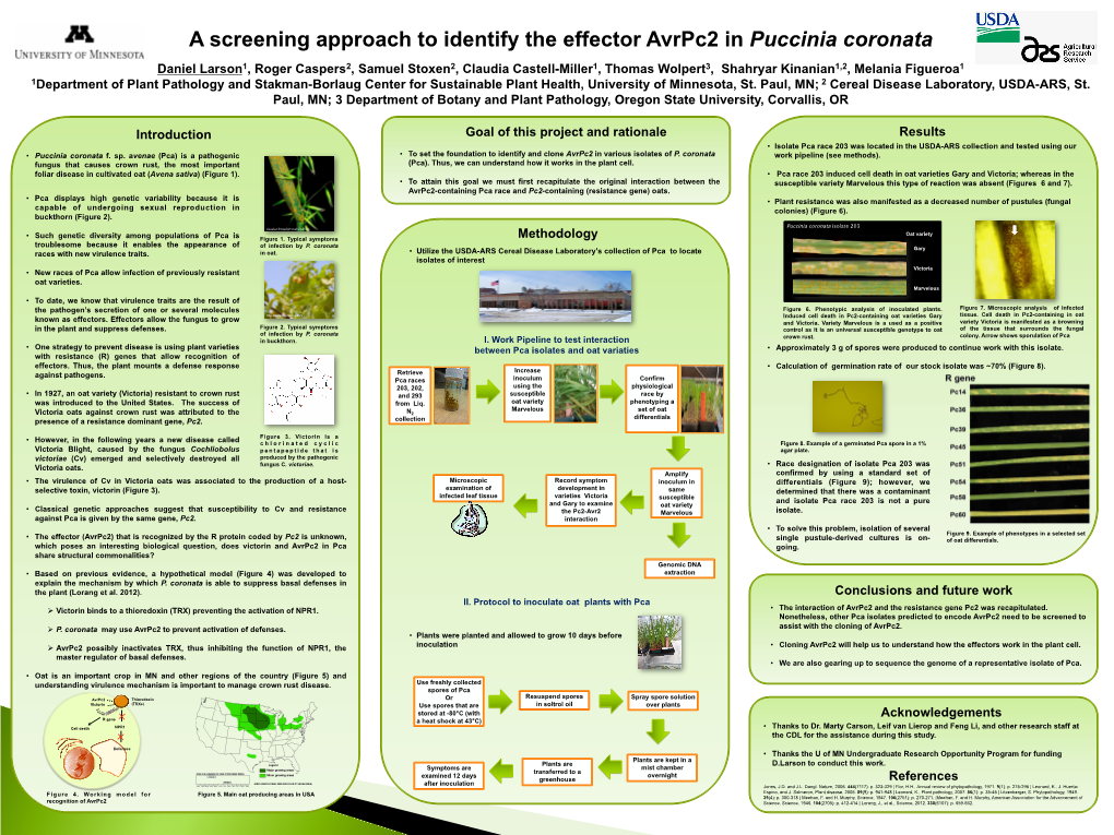 A Screening Approach to Identify the Effector Avrpc2 in Puccinia Coronata