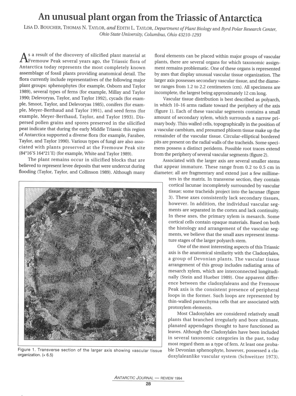 An Unusual Plant Organ from the Triassic of Antarctica LISA D