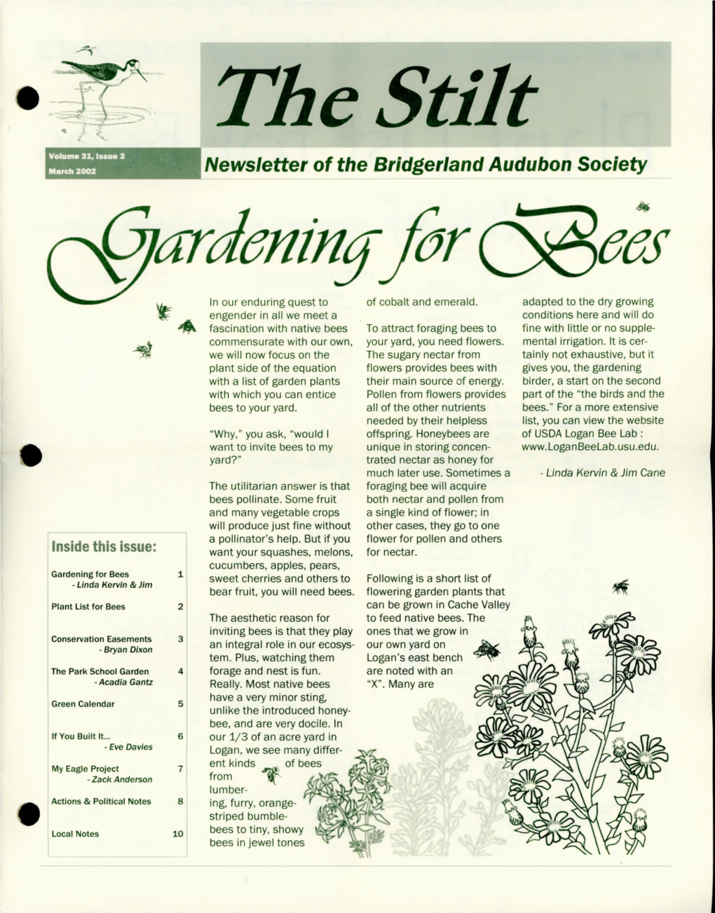 Vol 31 Issue 3 March 2002