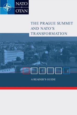 The Prague Summit and Nato's Transformation