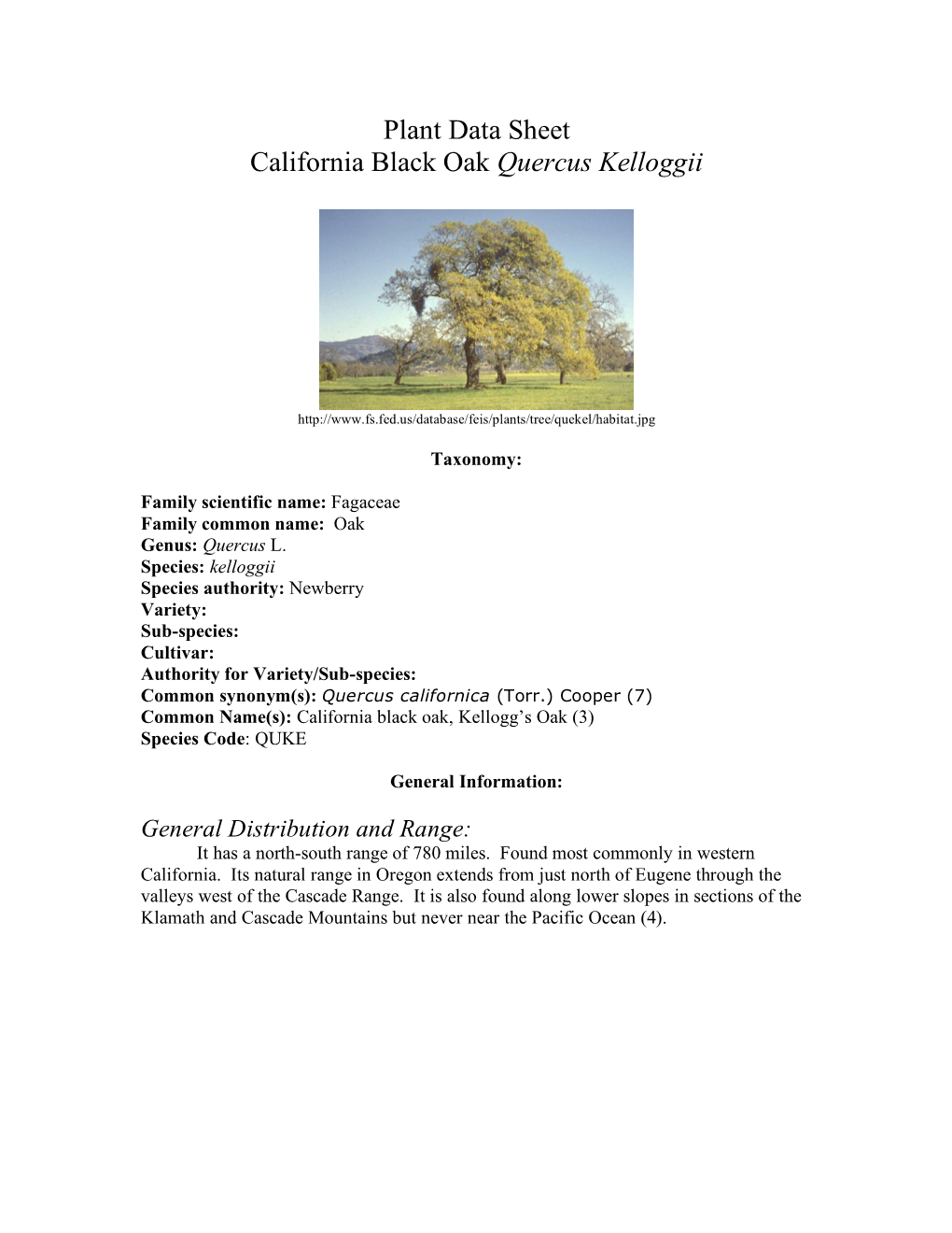 Plant Data Sheet California Black Oak Quercus Kelloggii