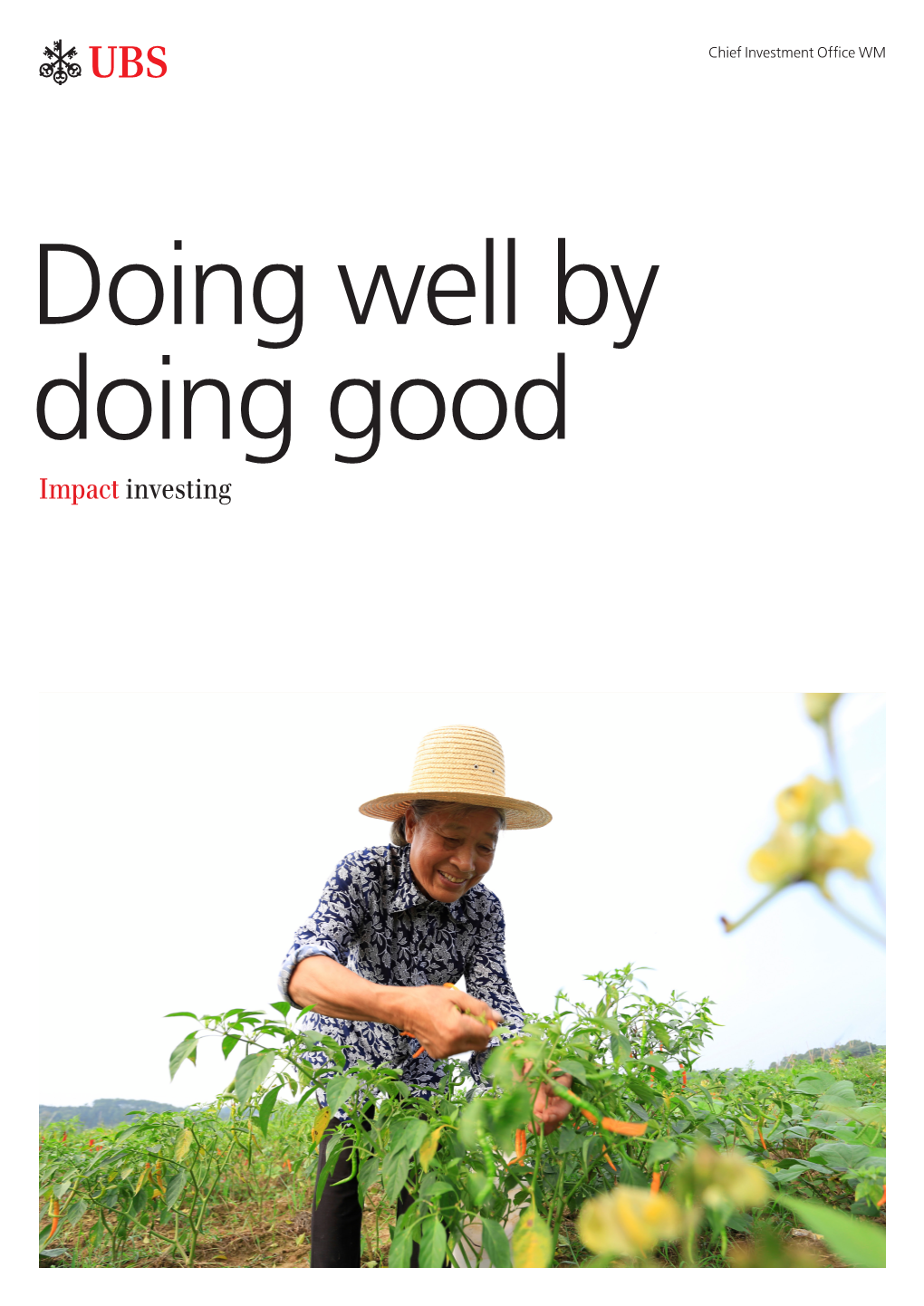 UBS: Impact Investing