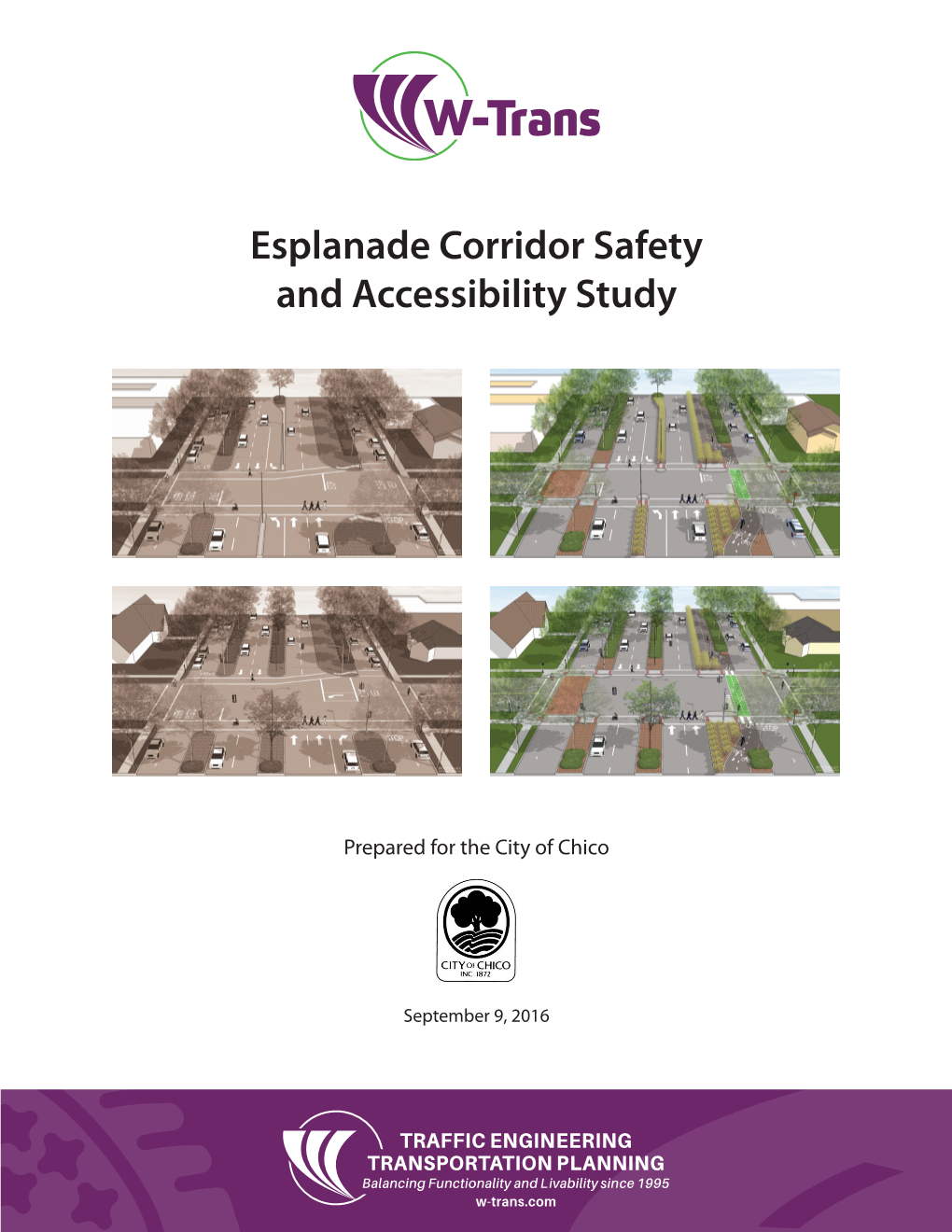 Esplanade Corridor Safety and Accessibility Study