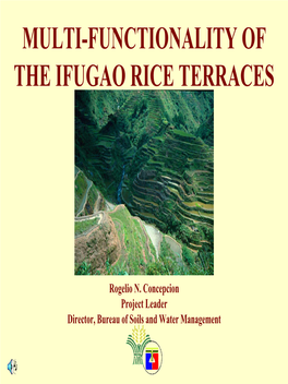 Multi-Functionality of the Ifugao Rice Terraces